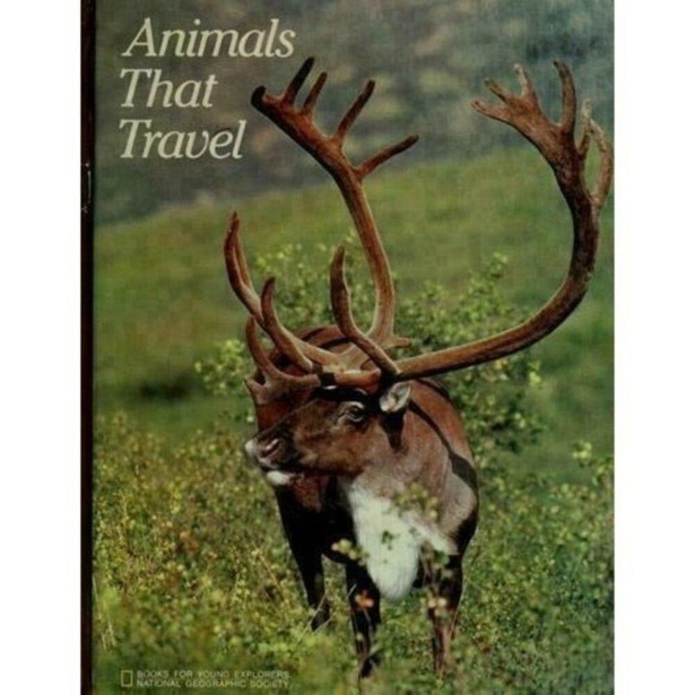 Animals That Travel Educational Book